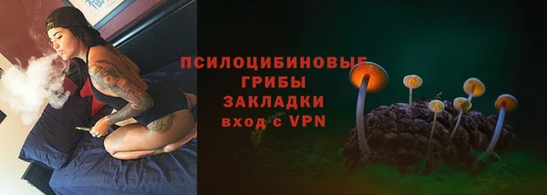 дурь Богданович