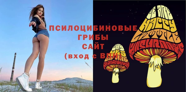 ALPHA PVP Богородск