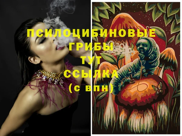 ALPHA PVP Богородск