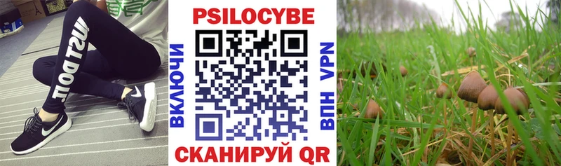 продажа наркотиков  Мурманск  Псилоцибиновые грибы GOLDEN TEACHER 