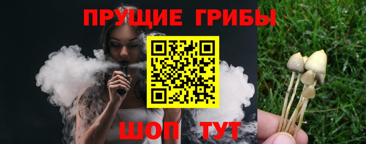 купить наркотик  Вход с VPN  Мурманск  Псилоцибиновые грибы Psilocybine cubensis  Псилоцибиновые грибы Cubensis 